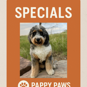 Pappy’s Seasonal Picks