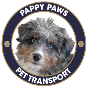 Pet Transport